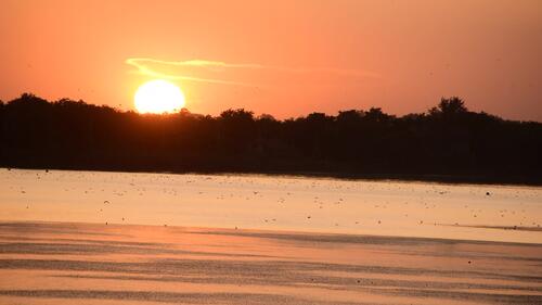 Palic sunset